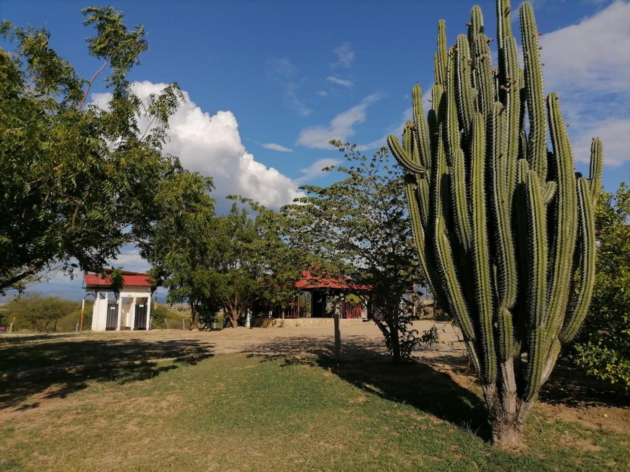 Payande - Tatacoa Villa Villavieja Buitenkant foto