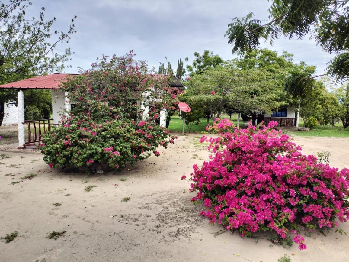 Payande - Tatacoa Villa Villavieja Buitenkant foto